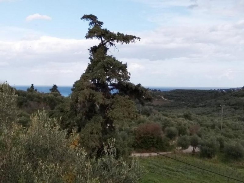 Tsivaras Kreta, Tsivaras: Schönes, restaurierungsbedürftiges Natursteinhaus zum Verkauf Haus kaufen